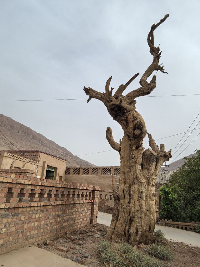 吐峪沟景区旅行图片 2