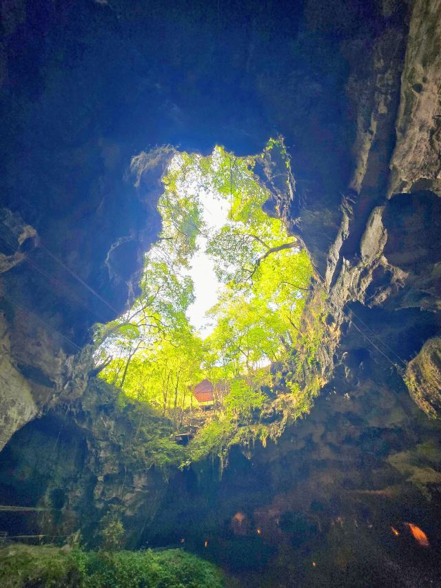 荔波酷玩森林旅行图片 1