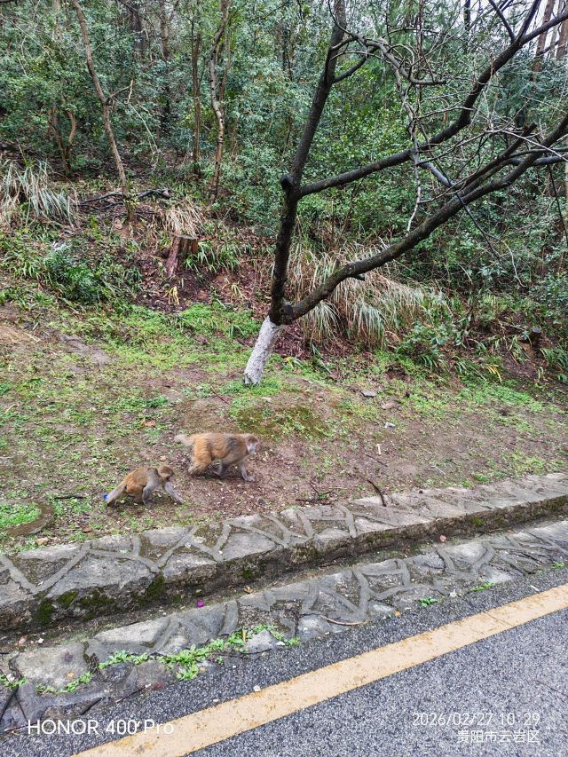 黔灵山公园旅行图片 8