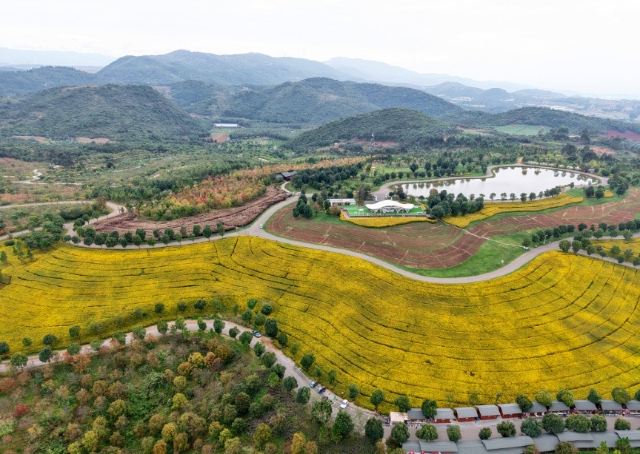 太平湖森林公园旅行图片 6