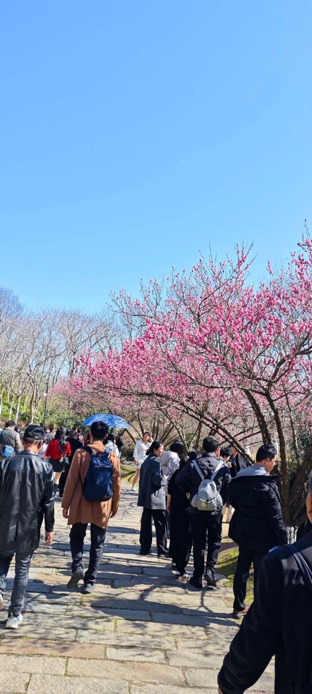 东方盐湖城·道天下景区旅行图片 2