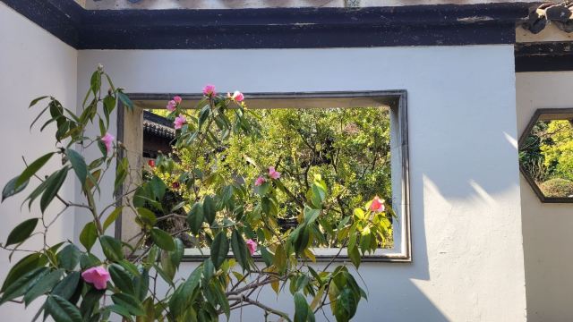 蓬莱公园旅行图片 3