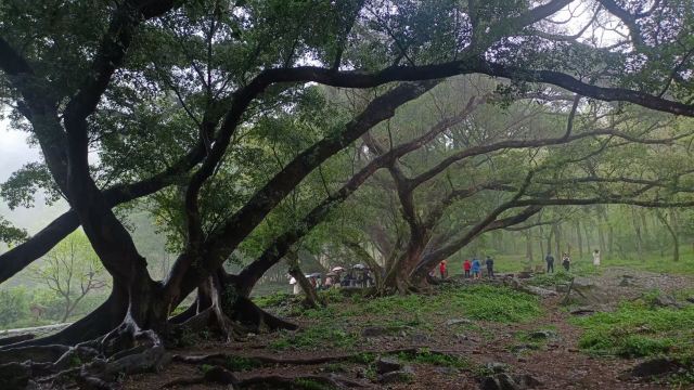 大京沙滩景区旅行图片 2