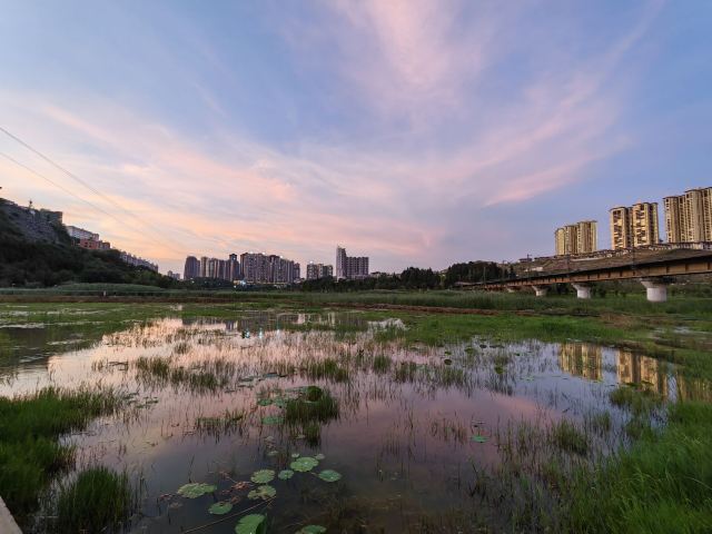 东湖公园旅行图片 5