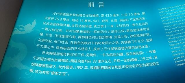 扬州双博馆旅行图片 13