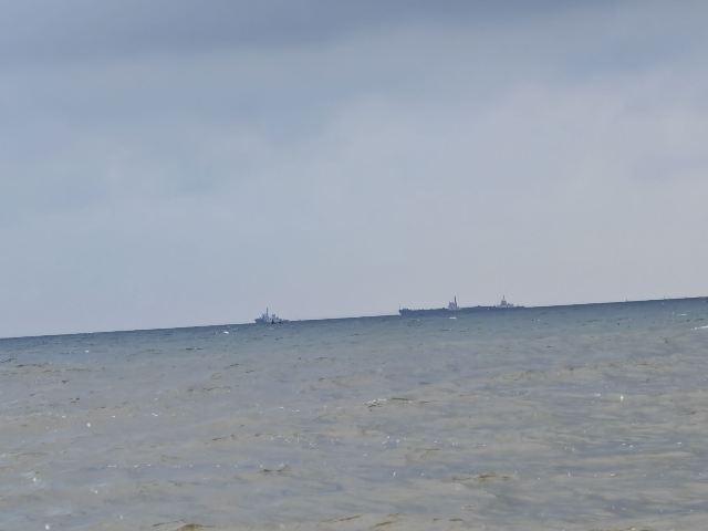 孤独的鲸旅行图片 3