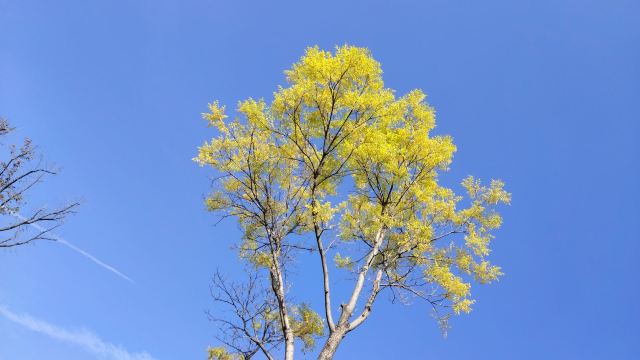 平安心湿地公园旅行图片 8