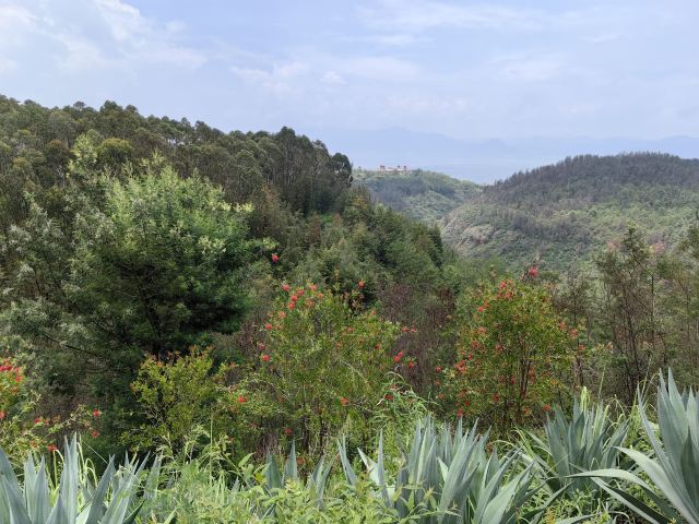光崀村景区旅行图片 5