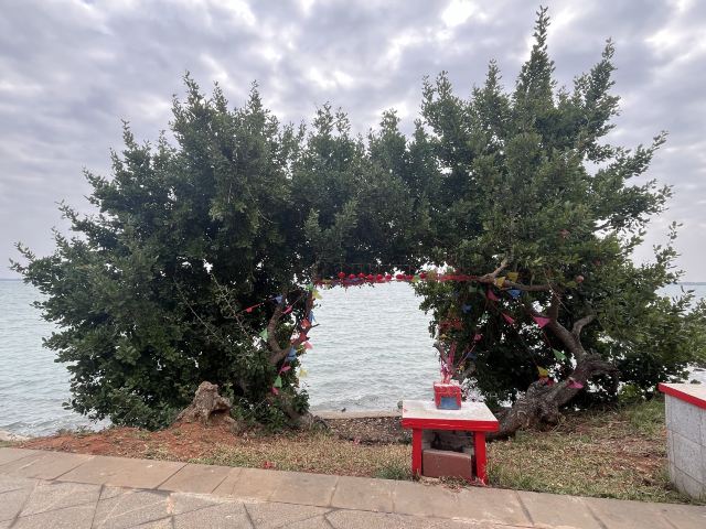 洋浦滨海公园旅行图片 13