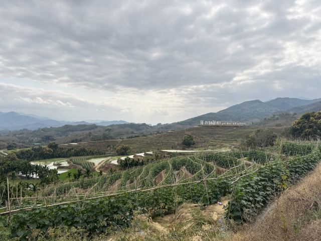 牙胡梯田景区旅行图片 3