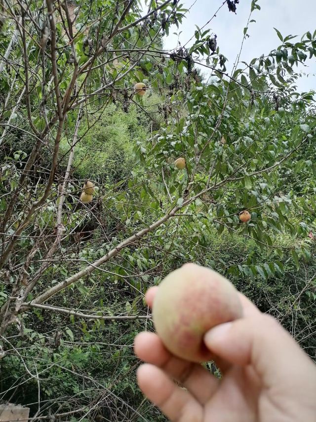 铜川棉花库旅行图片 6