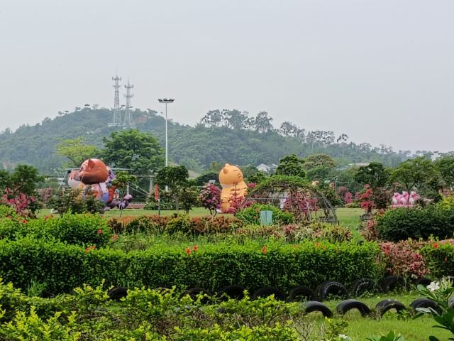 岭南大地百草园旅行图片 4