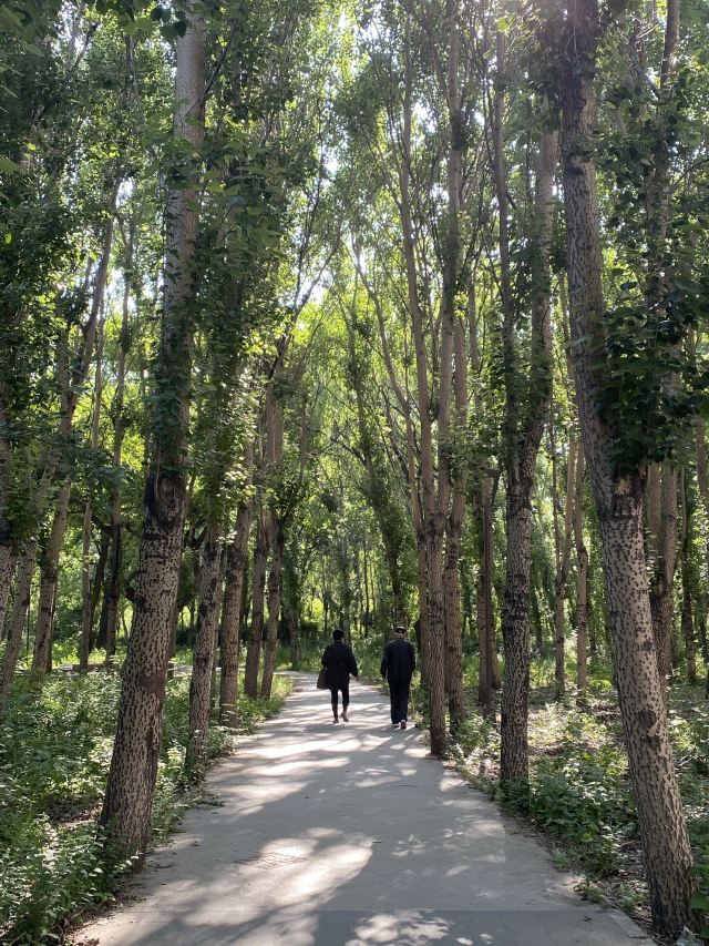 万泉公园旅行图片 3