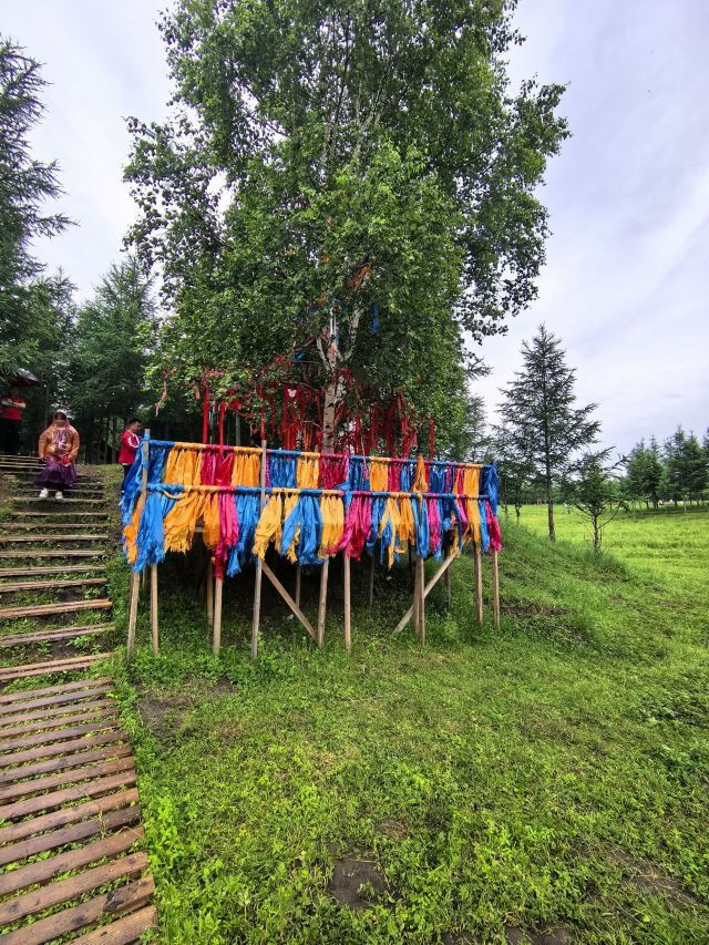乌兰布统达瓦鄂温克驯鹿部落旅行图片 5