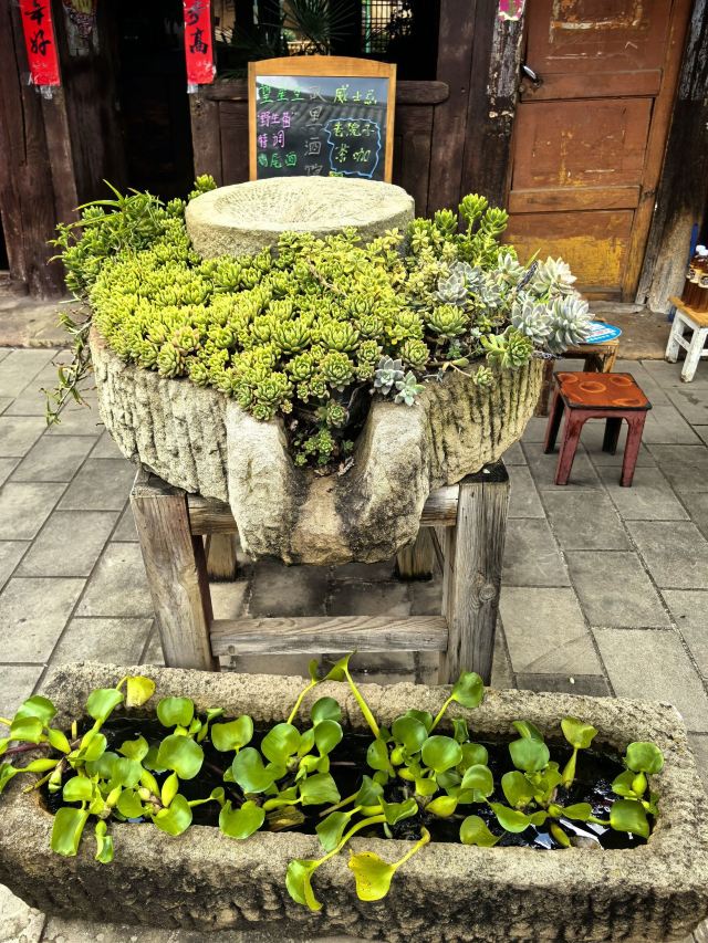 巍山古城旅行图片 6