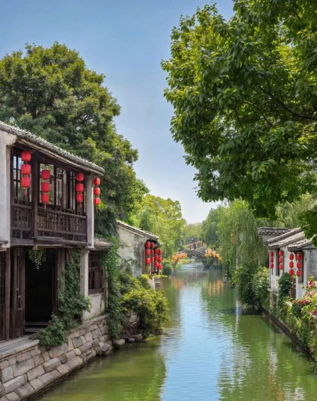 荡口古镇旅行图片 3