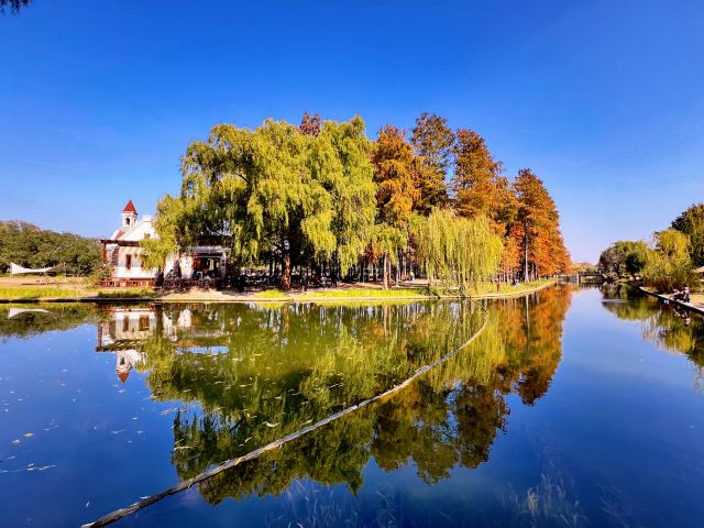 上海共青森林公园旅行图片 6