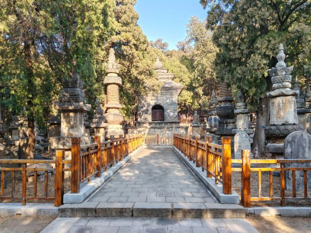 灵岩寺景区旅行图片 7