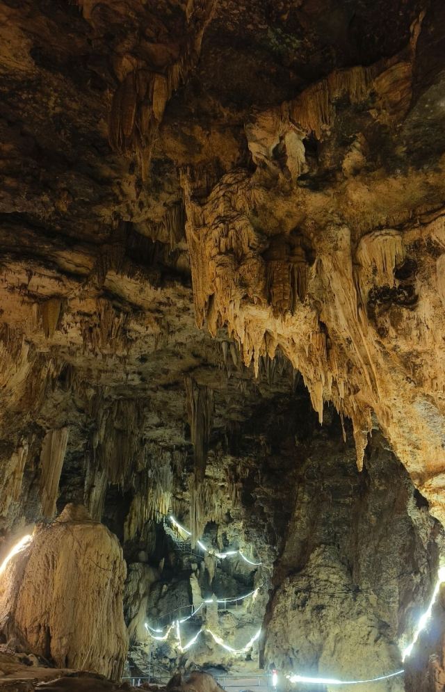 飞龙洞探索基地旅行图片 4