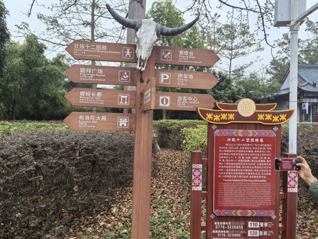 敢壮山旅行图片 2