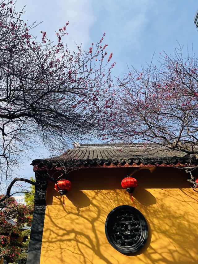 湖州铁佛寺旅行图片 6