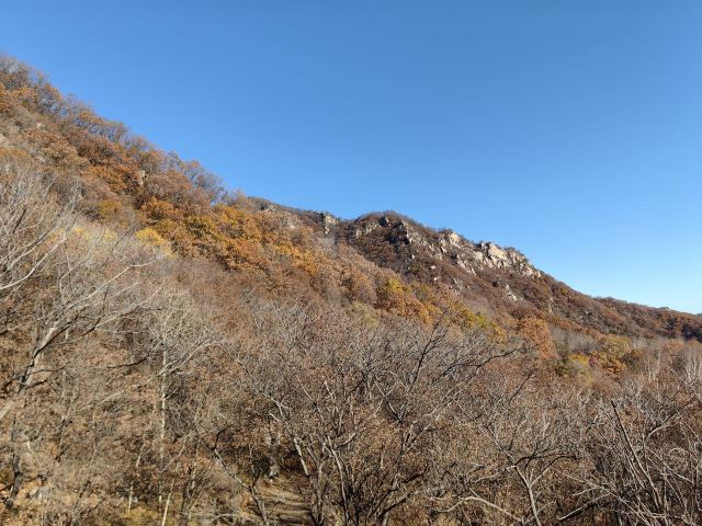 轩辕黄帝陵旅行图片 2