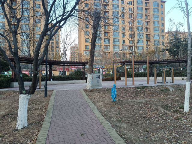 青小园-香蜜湖口袋公园旅行图片 5