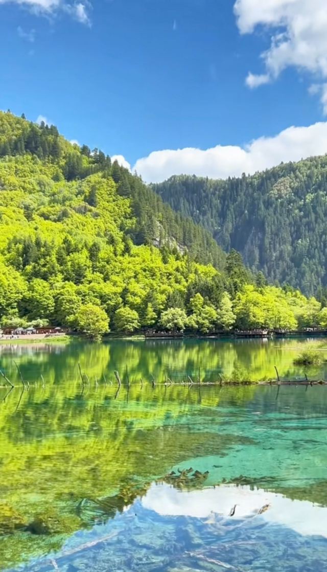 九寨沟景区五彩池观景台旅行图片 3