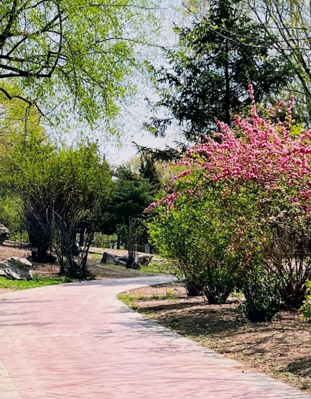 长青公园旅行图片 1