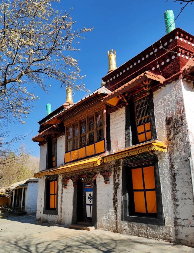 罗布林卡旅行图片 3