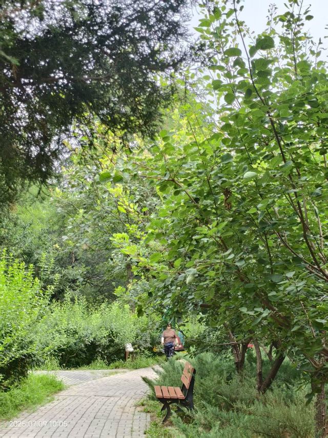 老山城市休闲公园旅行图片 5