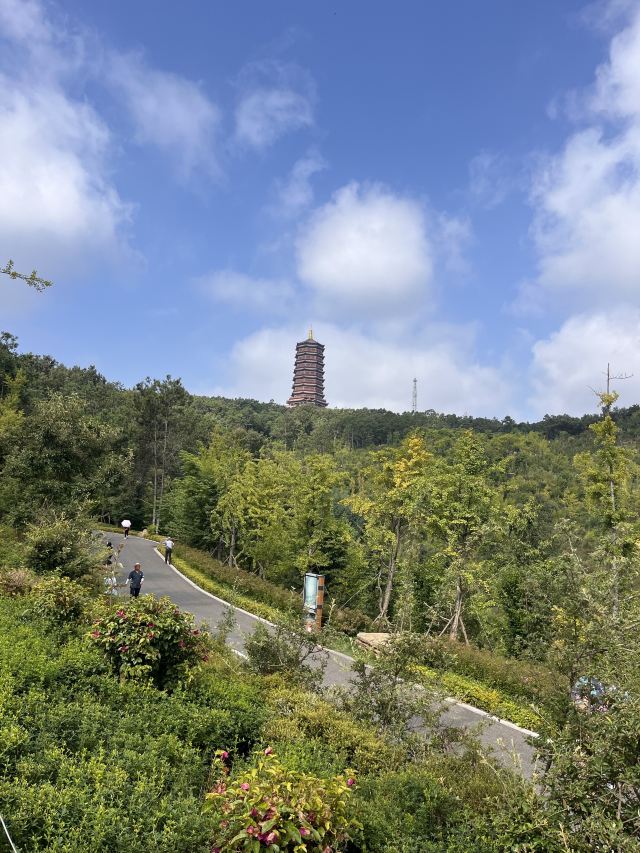 寥廓公园旅行图片 2