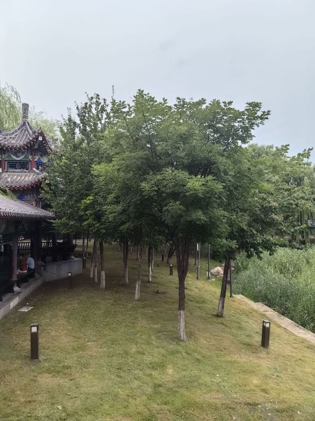 劳动公园旅行图片 14
