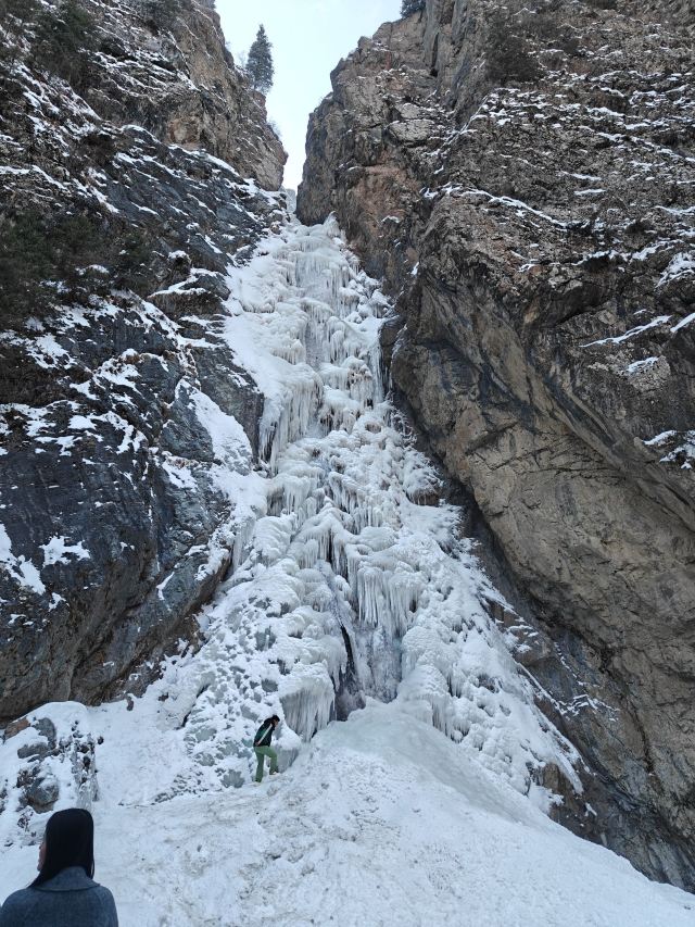 南山牧场西白杨沟景区旅行图片 4