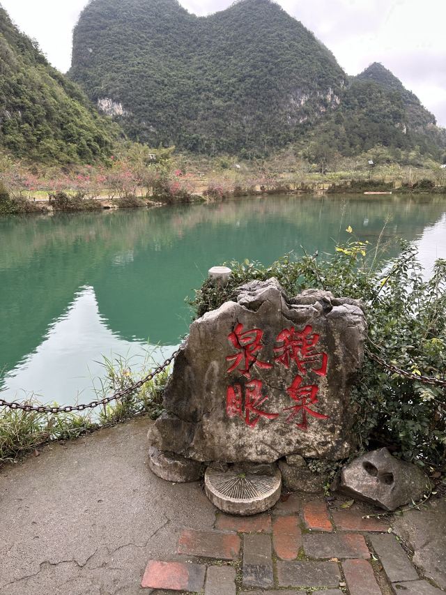 鹅泉泉眼旅行图片 2