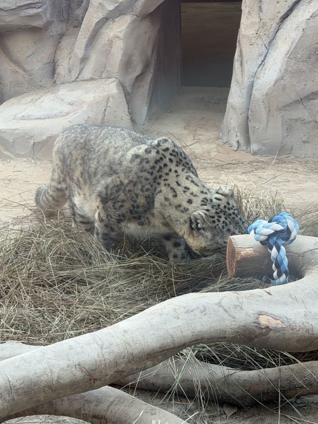 西宁野生动物园旅行图片 1
