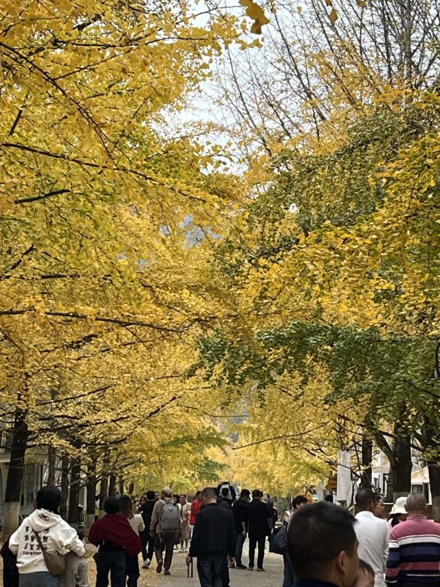 南雄帽子峰旅游景区旅行图片 2