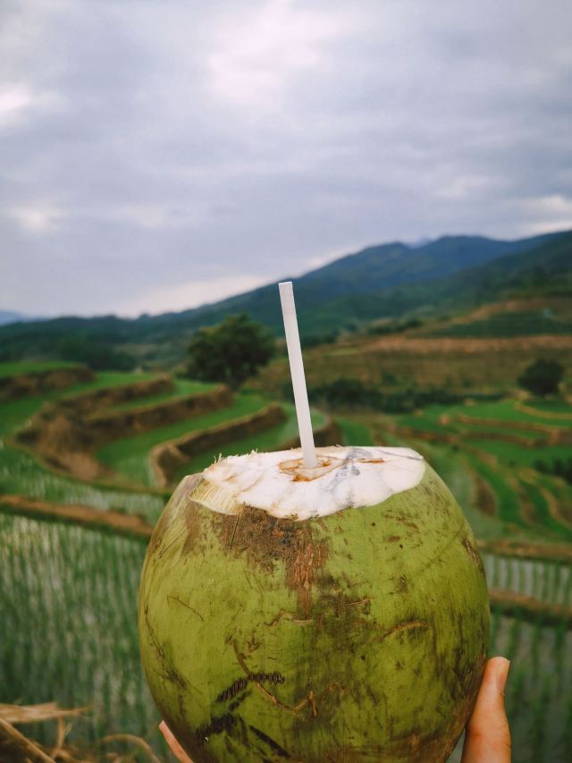 牙胡梯田景区旅行图片 3