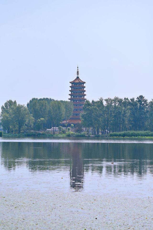 东湖公园旅行图片 1