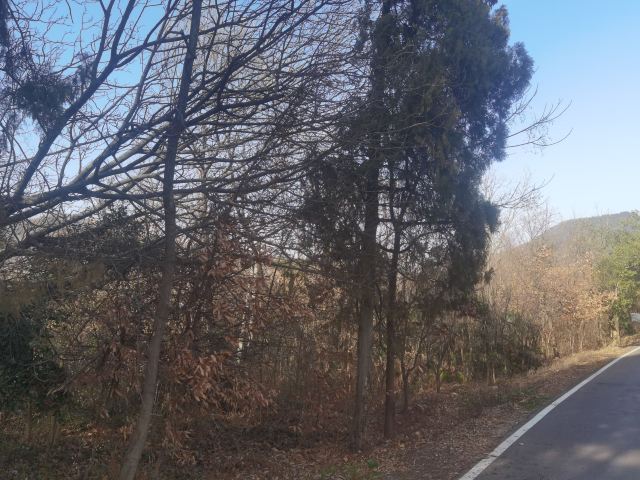 鹿门山旅行图片 2