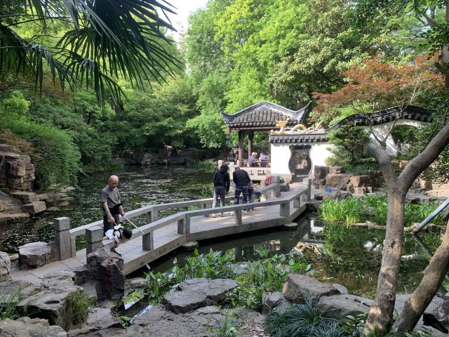 蓬莱公园旅行图片 2