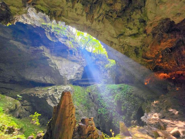荔波酷玩森林旅行图片 4