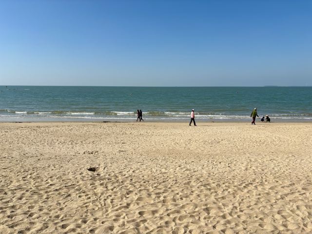 海东方沙滩公园旅行图片 6