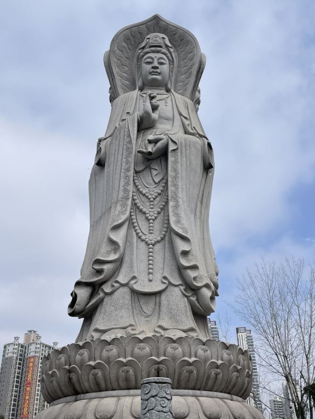东洲岛旅行图片 7