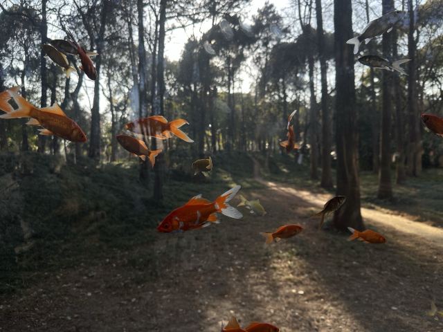 啬园旅行图片 1