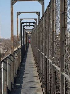 松花江公路大桥-哈尔滨-呆呆爱运动