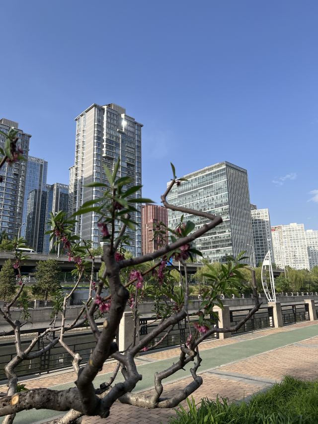 庆丰公园旅行图片 3