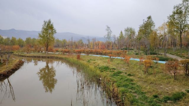 平安心湿地公园旅行图片 2