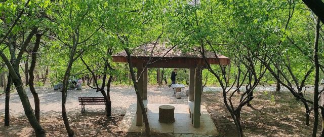 老山城市休闲公园旅行图片 5