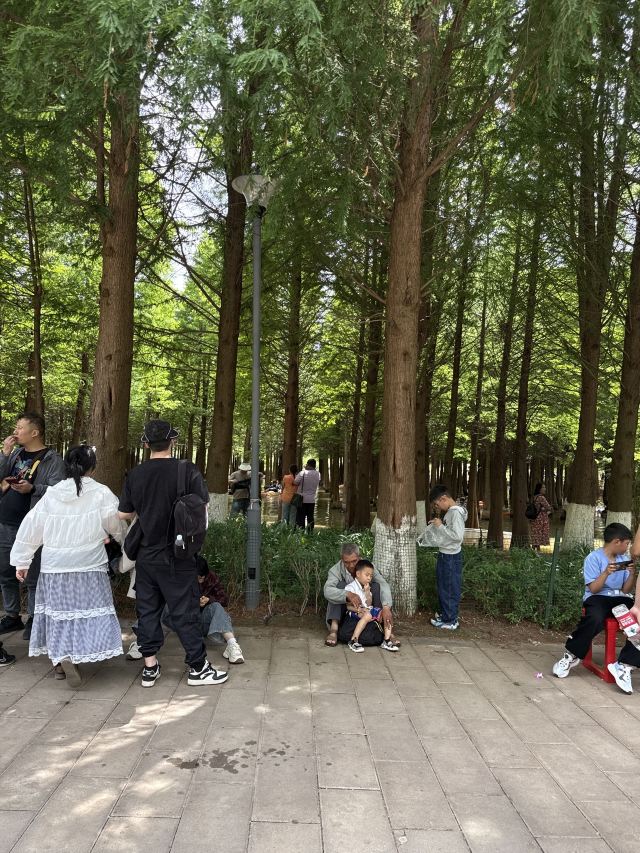 海洪湿地泼水广场旅行图片 1